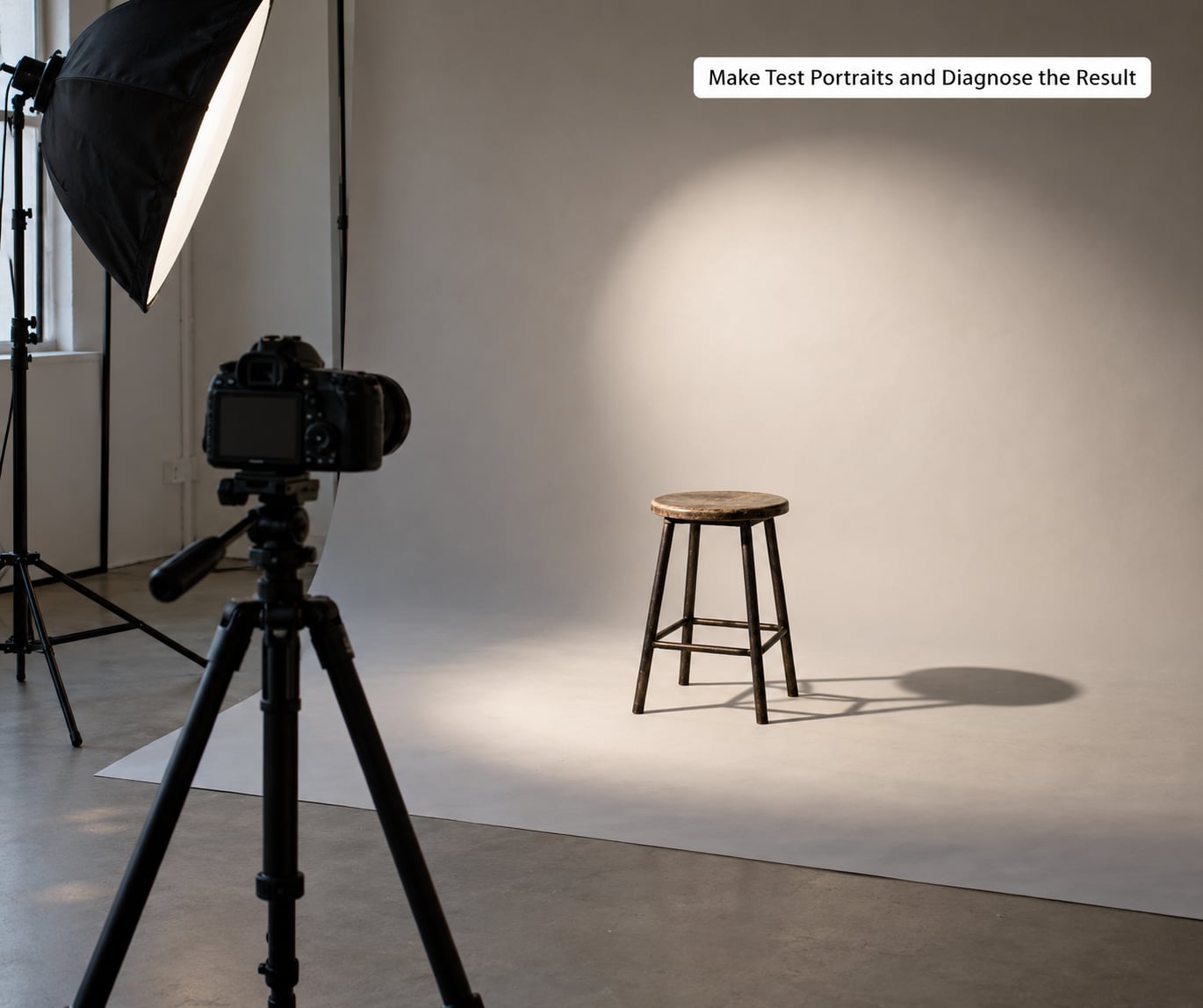 Make Test Portraits and Diagnose the Result